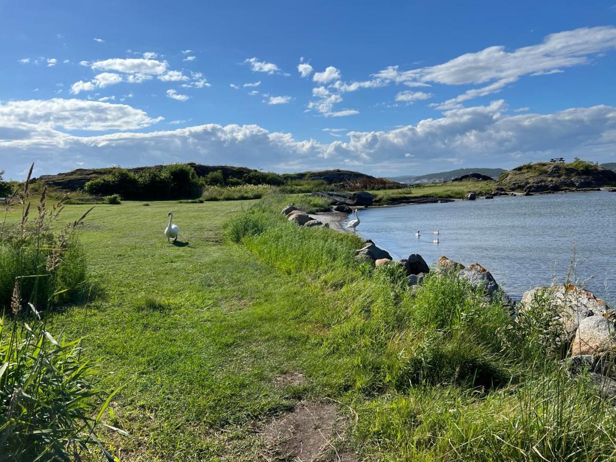Ny Leilighet I Nevlunghavn Larvik Dış mekan fotoğraf