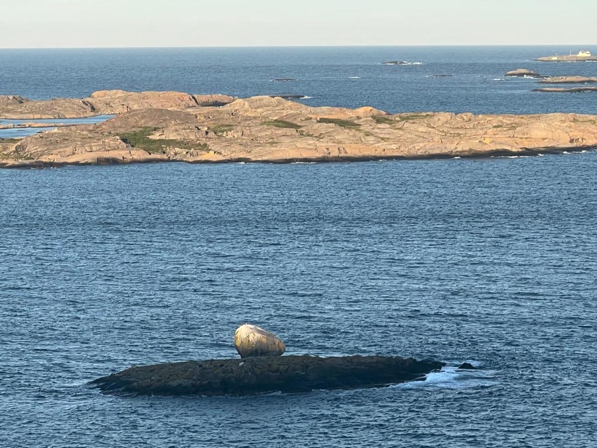 Ny Leilighet I Nevlunghavn Larvik Dış mekan fotoğraf